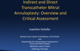 Indirect and Direct Transcatheter Mitral Annuloplasty: Overview and Critical Assessment