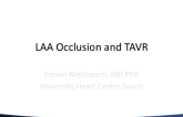 Thoughtful Commentary: LAA Occlusion and TAVR