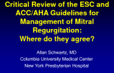 ESC/EACTS 2012 and ACC/AHA 2014 Valvular Heart Disease Guidelines: Where Do They Agree?