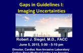 Gaps in the Guidelines I: Imaging Uncertainties