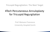 Fortech Percutaneous Annuloplasty for Tricuspid Regurgitation