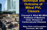 Overview of Mitral Paravalvular Leak Closure: Indications, Techniques, and Outcomes