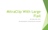 Case Presentation: MitraClip With Large Flail