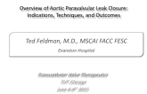 Overview of Aortic Paravalvular Leak Closure: Indications, Techniques, and Outcomes