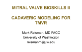 Mitral Bioskills 2