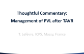 Thoughtful Commentary: Management of Paravalvular Leaks After TAVR