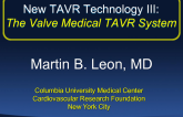 The Valve Medical TAVR System