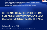 Echocardiographic Procedural Guidance for Paravalvular Leak Closure: Strengths and Pitfalls