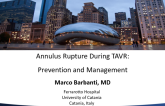 Annulus Rupture During TAVR: Prevention and Management