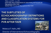 The Subtleties of Echocardiography Definitions and Classification Systems for PVR After TAVR