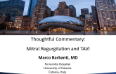 Thoughtful Commentary: MR and TAVR