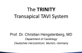 The Trinity TAVR System