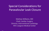 Special Considerations for Paravalvular Leak Closure After TAVR