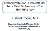 Updates From the US FDAApproved Sentinel TAVR Safety and Efficacy Study