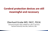 Cerebral Protection Devices Are Still Meaningful and Necessary
