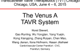 The Venus A TAVR System
