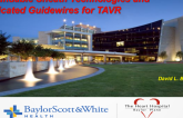 Expandable Sheath Technologies and Dedicated Guidewires for TAVR