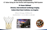 CT Sizing for Other New TAVR Systems: Roundtable Discussion - Portico Valve