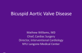 Bicuspid Aortic Valve Disease