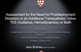 Assessment for the Need for Postdeployment Dilatation or an Additional Transcatheter Valve: TEE Guidance, Hemodynamics, or Both