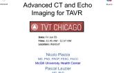 Advanced CT and Echo Imaging for TAVR