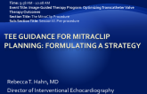 TEE Guidance for MitraClip Planning: Formulating a Strategy