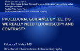 Procedural Guidance by TEE: Do We Really Need Fluoroscopy and Contrast?