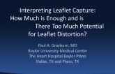 Interpreting Leaflet Capture: How Much Is Enough, and Is There Too Much Potential for Leaflet Distortion?