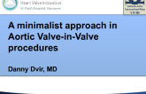 3M for Valve-in-Valve: Early Experience and Next Steps