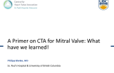A Primer on CTA for the Mitral Valve: What Have We Learned?