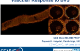 Vascular Response to BVS