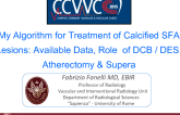 My Algorithm for Treatment of Calcified SFA Lesions: Available Data, Role  of DCB - DES, Atherectomy & Supera