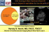 CAC Scoring in Non-Contrast Chest CT: How to Report It and What Do You Do with It?