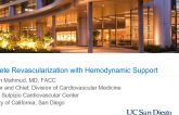 Complete Revascularization with Hemodynamic Support