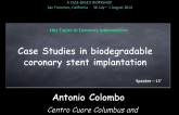 Case Studies in Biodegradable Coronary Stent Implantation