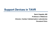 Support Devices in TAVR