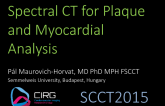 Spectral CT for Plaque and Myocardial Analysis