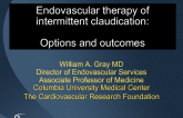 Endovascular therapy of intermittent claudication: Options and outcomes
