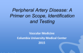 Peripheral Artery Disease: A Primer on Scope, Identification and Testing