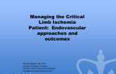 Managing the Critical Limb Ischemia Patient:  Endovascular approaches and outcomes