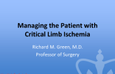Managing the Critical Limb Ischemia Patient:  Surgical approaches and surveillance