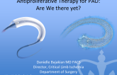 The Antiproliferative Endovascular Era in PAD Treatment: Are we there yet?
