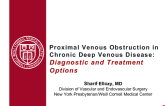 Proximal Venous Obstruction in Chronic Deep Venous Disease: Diagnostic and treatment options?