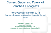 Current Status and Future of Branched Endografts