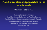 Non-conventional Approaches to the Aortic Arch