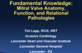 Fundamental Knowledge: Mitral Valve Anatomy, Function, and Relational Pathology