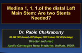 Medina 1, 1, 1 of the Distal Left Main: Are 2 Stents Needed?