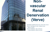 Nonvascular Renal Denervation (Verve)
