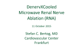 Denervx Microwave for Denervation