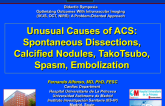 Unusual Causes of Acute Coronary Syndrome: Spontaneous Dissections, Calcified Nodules, Takotsubo, Embolization, and More